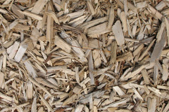 biomass boilers Garrigill